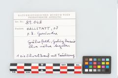 Foto von Bimetallschwertknauf (NHMW-PRAE-089048)